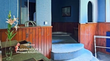 Grande demeure de charme + gîte + grand terrain - Tours-sur-Meymont