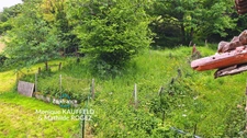 Maison de bourg à vendre 3 pieces avec jardin