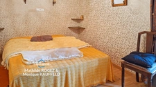 Grande demeure de charme + gîte + grand terrain - Tours-sur-Meymont