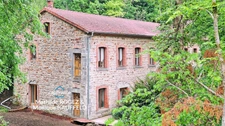 Grande demeure de charme + gîte + grand terrain - Tours-sur-Meymont