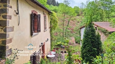 Grande demeure de charme + gîte + grand terrain - Tours-sur-Meymont