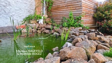 Maison à vendre 5 pièces  (63) avec jardin Marsac en Livradois