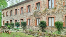 Grande demeure de charme + gîte + grand terrain - Tours-sur-Meymont