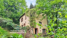 Grande demeure de charme + gîte + grand terrain - Tours-sur-Meymont