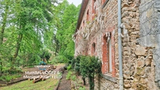 Grande demeure de charme + gîte + grand terrain - Tours-sur-Meymont