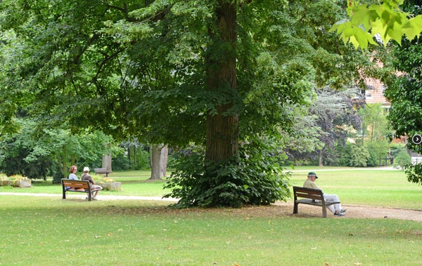 Face au parc, un cadre de vie exceptionnel à OBERNAI 