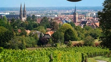 Face au parc, un cadre de vie exceptionnel à OBERNAI 