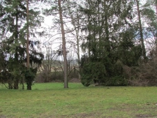 Terrain à lotir à WASSELONNE (67)
