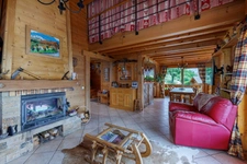 Chalet à vendre en viager occupé - Vue panoramique - MANIGOD (74)