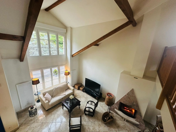 Maison à vendre 295 m2 CHANCIA (01)