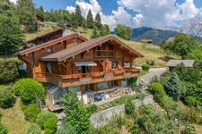 Chalet à vendre en viager occupé - Vue panoramique - MANIGOD (74)