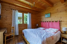 Chalet à vendre en viager occupé - Vue panoramique - MANIGOD (74)