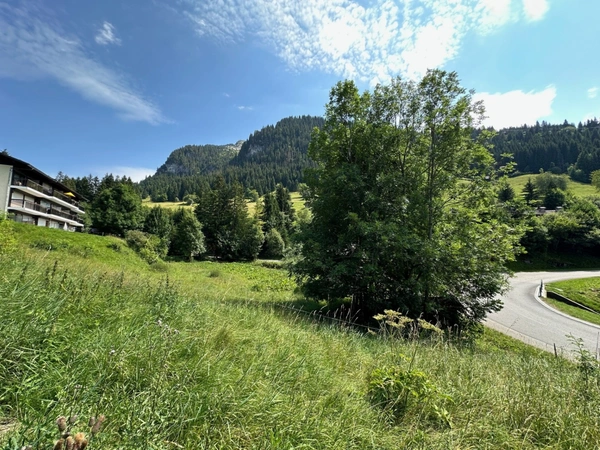 A vendre LA CLUSAZ Chalet de caractère - 237 m²