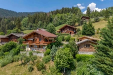 Chalet à vendre en viager occupé - Vue panoramique - MANIGOD (74)