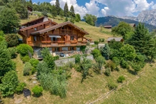 Chalet à vendre en viager occupé - Vue panoramique - MANIGOD (74)