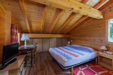Chalet à vendre en viager occupé - Vue panoramique - MANIGOD (74)