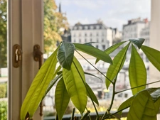 Luxury 130 m2 Type 4 apartment with elevator and garage at the foot of the castle and close to Angers train station