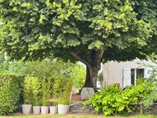 PROPRIÉTÉ DE CARACTÈRE EN BORD DE LOIRE – 210 m² – 2470 m² DE TERRAIN – LES PONTS-DE-CÉ