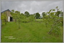 Maison en pierre sur plus de 1500m² de terrain