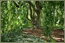 Domaine paysager reconnu avec parc floral, batiments et terres agricoles