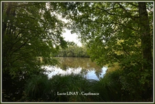 Domaine paysager reconnu avec parc floral, batiments et terres agricoles