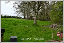 Maison sur 3000m² de terrain