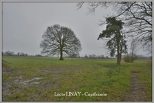 Corps de ferme + 5 ha 