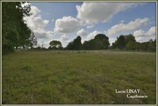 Maison familiale de campagne sur plus d'1,5ha de terrain