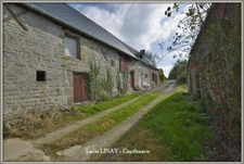 Maison de campagne sur plus d'1ha de terrain