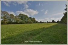 Maison de campagne sur plus d'1ha de terrain
