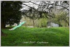 Maison sur 3000m² de terrain