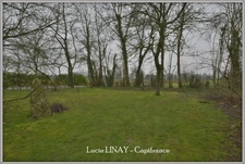 Corps de ferme + 5 ha 