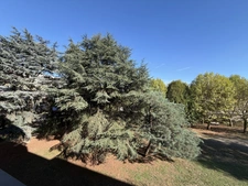 Appartement en excellent état à vendre 3/4 pièces MEYZIEU (69), au calme, avec vue dégagée sur la nature, proche de tout.
