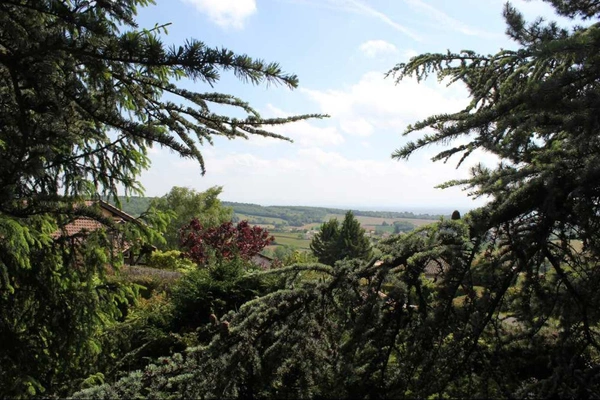 Dpt Saône et Loire (71), à vendre proche MACON maison P9 de 239m² - Terrain de 1600 m² -   