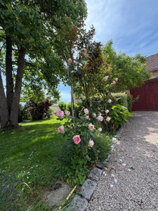 Maison à vendre 10 pièces proche de MACON (71)