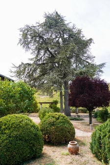 House for sale, 11 rooms, MACON(71)