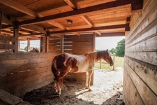 Maison à vendre 8 pièces proche de CHATILLON-SUR-CHALARONNE(01)