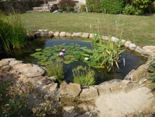 House for sale, 8 rooms, near MACON (71)