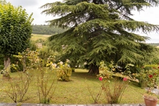 Maison à vendre 7 pièces proche de MACON (71)