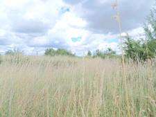 Terrain à vendre  PUYRAVAULT (85)