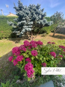 Maison à vendre 5 pièces à SAINT MICHEL EN L'HERM (85)