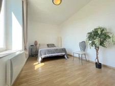 Ensemble immobilier mixte aux grands espaces : habitation & activité commerciale à Sainte-Radégonde-des-Noyers en VENDEE (85)
