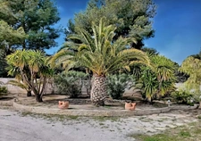 8-room property for sale in SAINT CYR SUR MER (83), 2000 m² plot, swimming pool, pool house