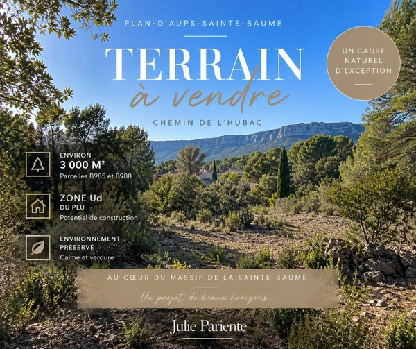 Terrain à vendre 3000 m2 PLAN D'AUPS SAINTE BAUME (83)