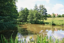 Propriété 5 chambres, avec piscine et étang sur 3 hectares de terrain.