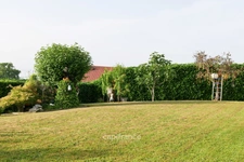 VUE LAC LÉMAN – VILLA D’ARCHITECTE AVEC PISCINE & STUDIO INDÉPENDANT - MARIN (74)