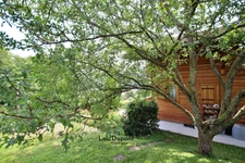 Chalet savoyard avec vue panoramique sur les montagnes à 20 mn de Thonon - Jardin fruitier - (Haute-Savoie - 74)