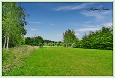 Terrain à vendre de 31 710,00 m² BOULT AUX BOIS (08)