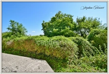 Maison à vendre 10 pièces VOUZIERS (08)