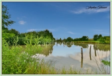 Terrain à vendre de 31 710,00 m² BOULT AUX BOIS (08)